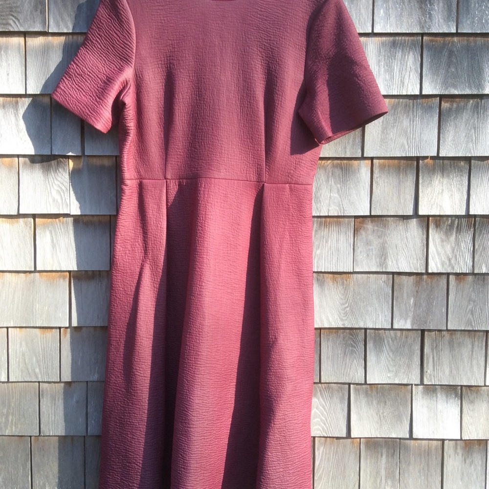 - COS Dress - Picture 6 of 7
